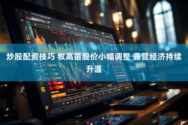 炒股配资技巧 牧高笛股价小幅调整 露营经济持续升温