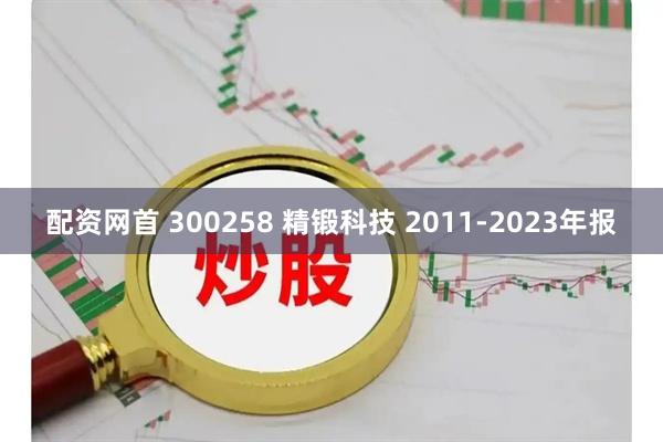 配资网首 300258 精锻科技 2011-2023年报